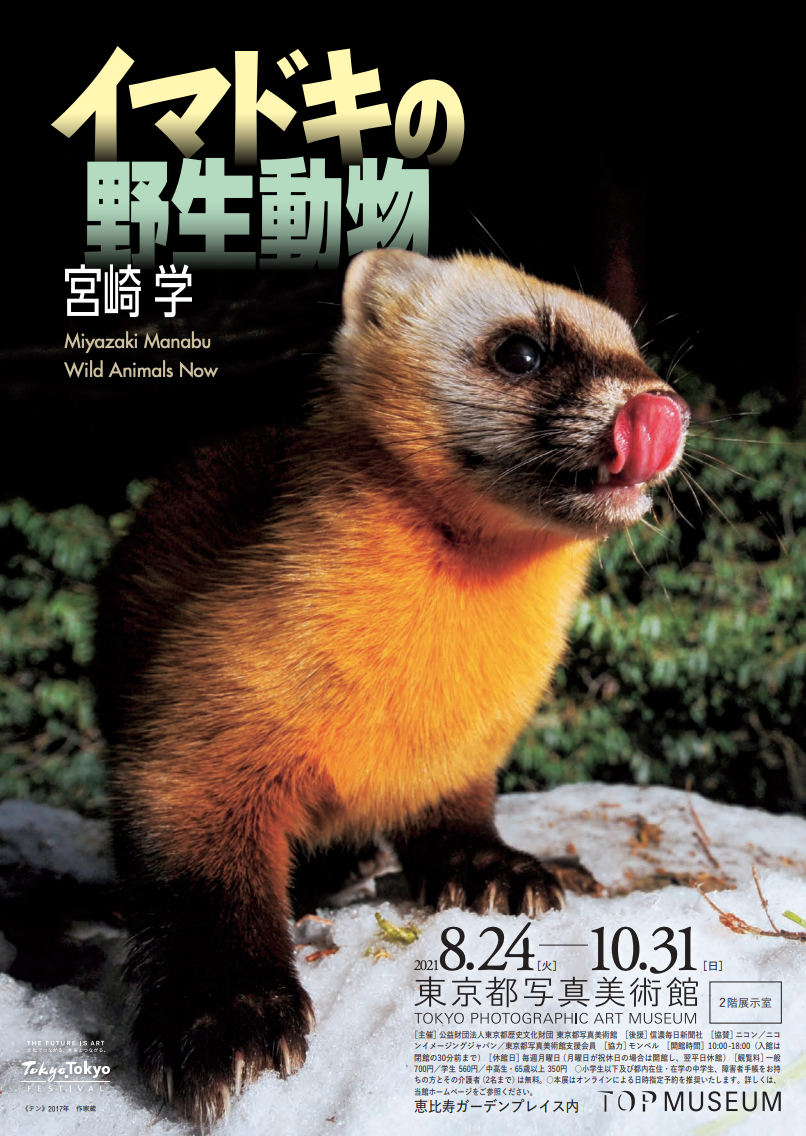 宮崎学 「イマドキの野生動物」 （東京都写真美術館） ｜Tokyo Art Beat