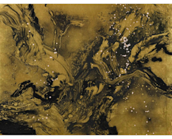 2021_F732?w=244&h=304&q=100