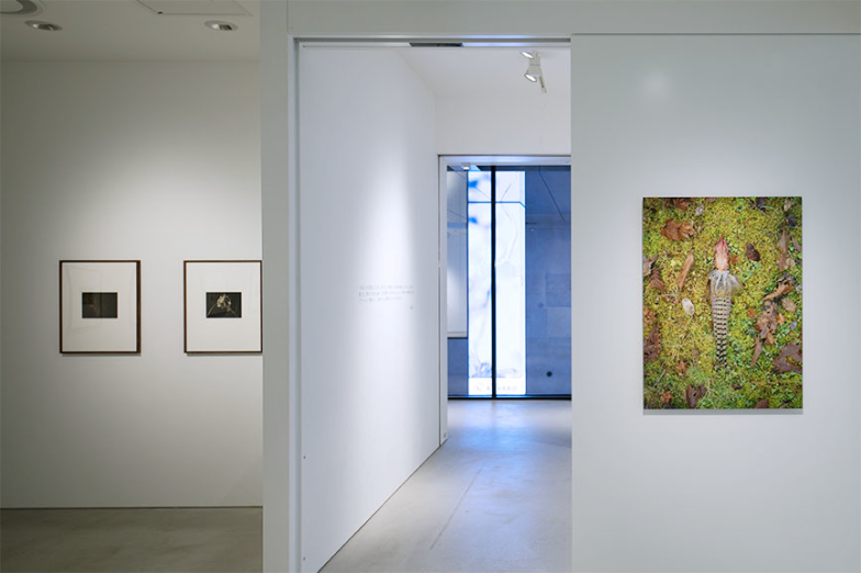 SAI GALLERY TARGET長場雄　ポストカードセット　宮下パーク 長場雄の個展「The Last Supper」がミヤシタパークで開催、初