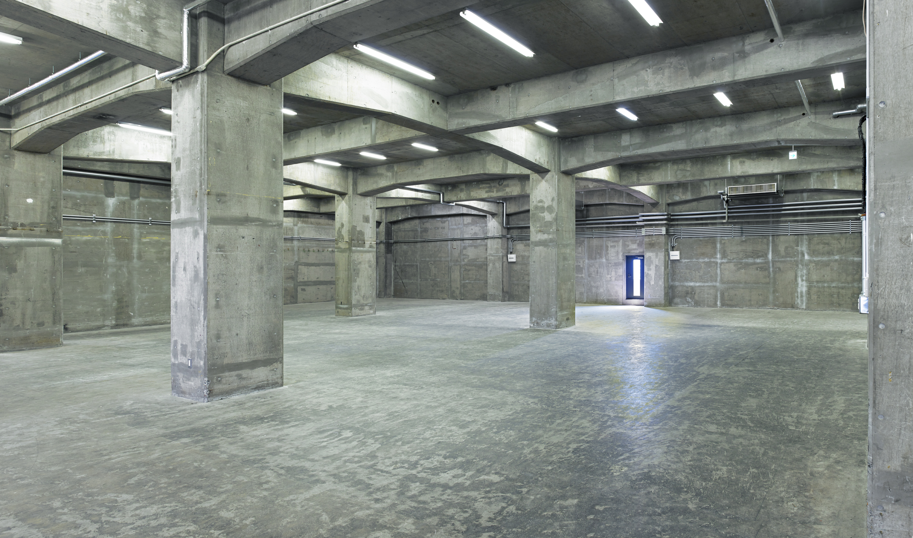 アノーマリー展　レントゲン藝術研究所第9展覧会　ANOMALY　カタログ　図録 ANOMALY アノマリー展 レントゲン藝術研究所第9展覧会