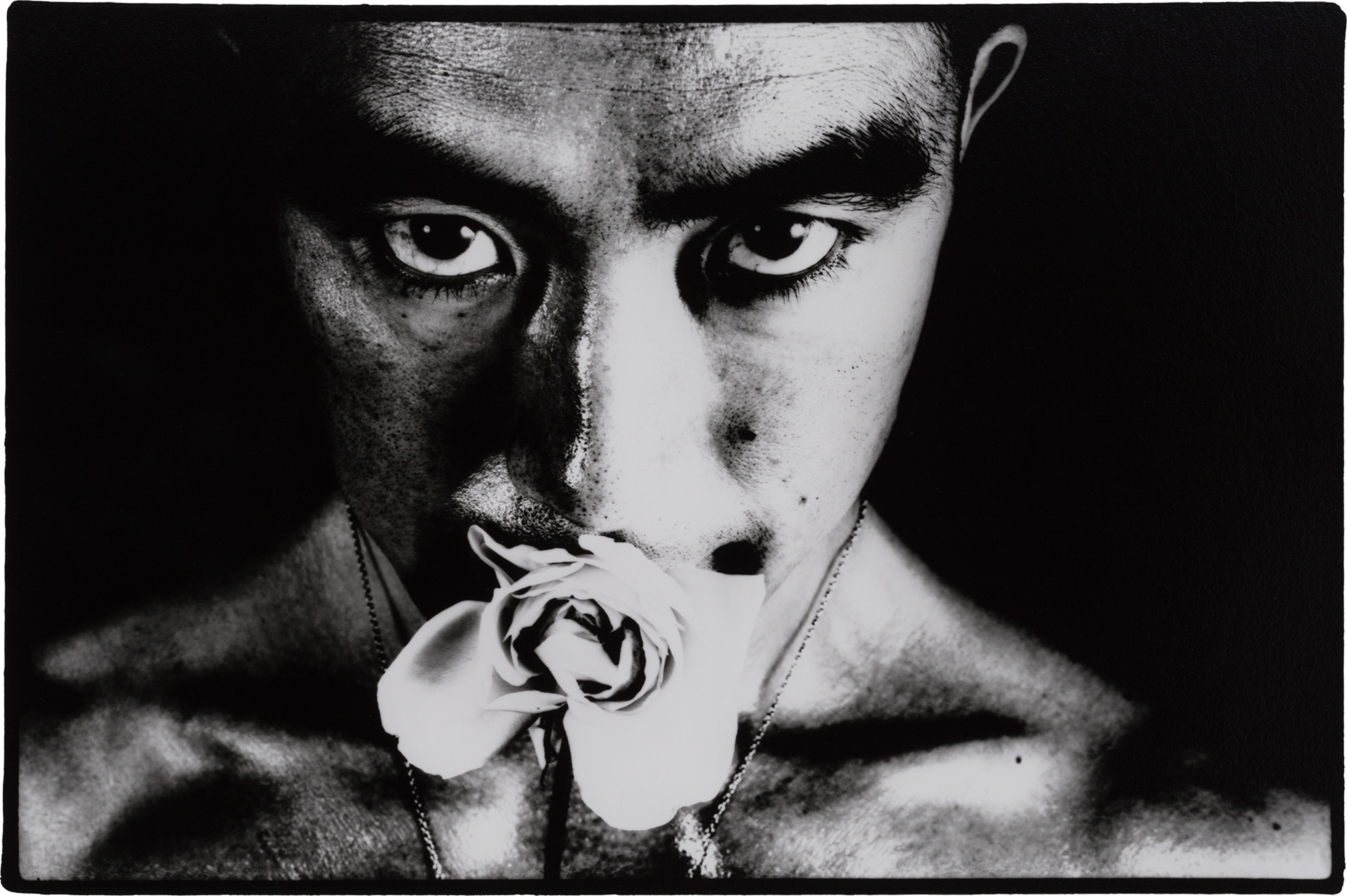 細江英公 「薔薇刑より （1961,1962）」 （西村画廊） ｜Tokyo Art Beat