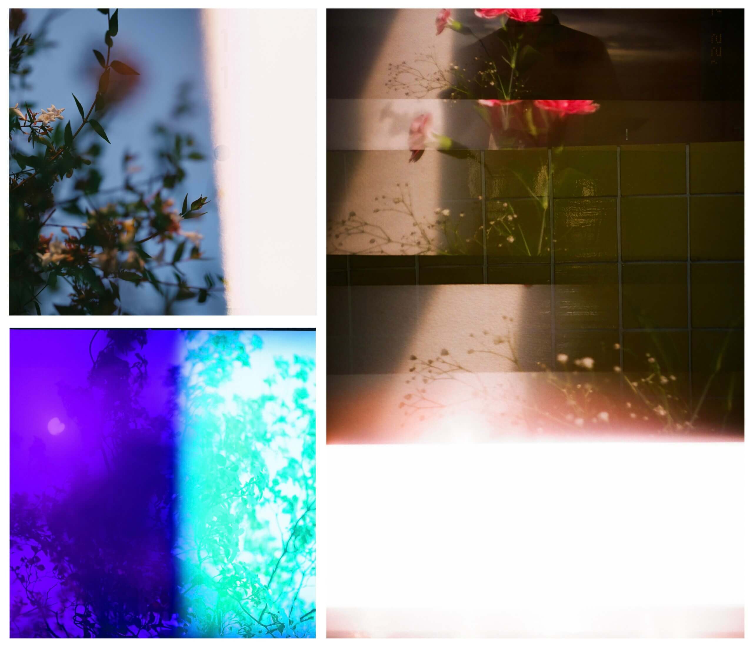 Yuka Takasu "Re-membering the Temporal Fragments: Reconnecting the Shards of Time"