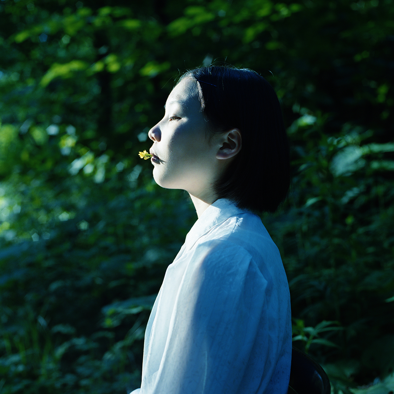 山元彩香 「We are Made of Grass, Soil, and Trees」 （PURPLE
