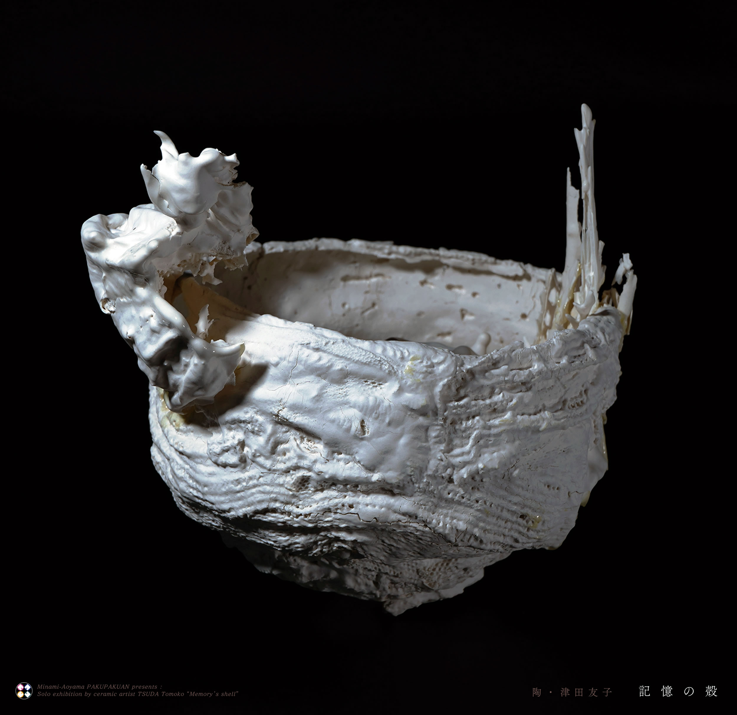 Tomoko Tsukamoto様 Tomoko Tsuda 