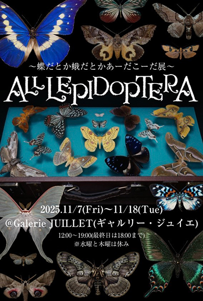 櫻井亨 「『ALL LEPIDOPTERA』 ～蝶だとか蛾だとかあーだこーだ