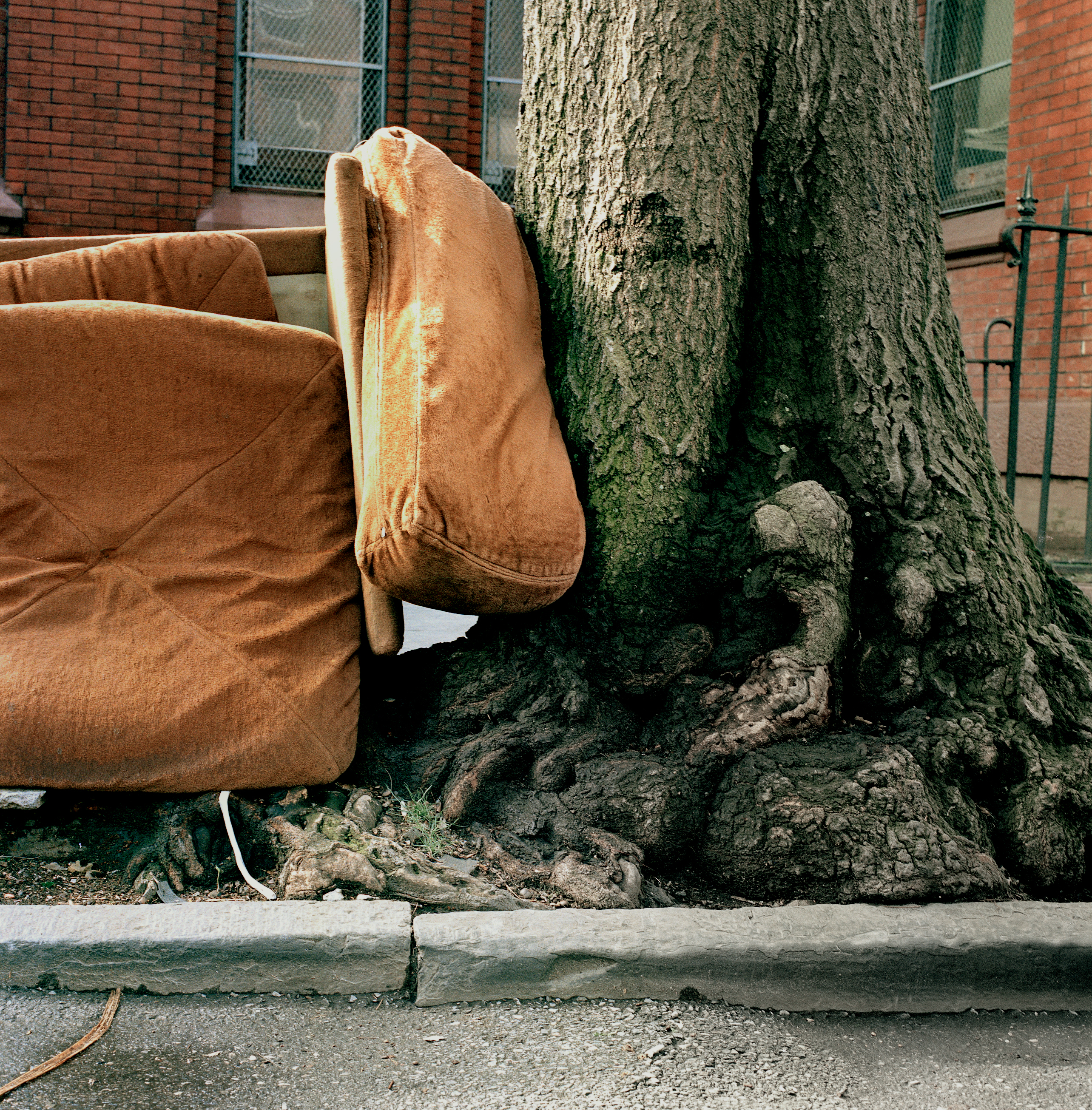 高木康行 「BLR: Brooklyn Lot Recordings」 （THE BOOK END） ｜Tokyo