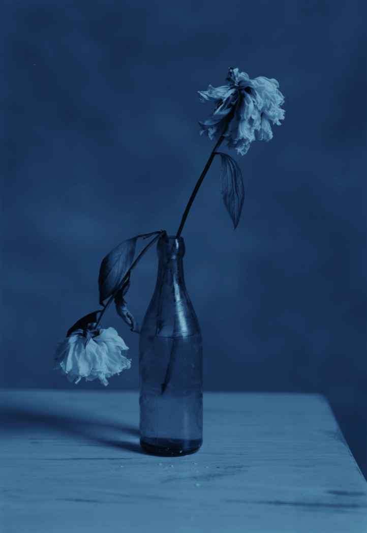 井津建郎 「BLUE」 （PGI） ｜Tokyo Art Beat