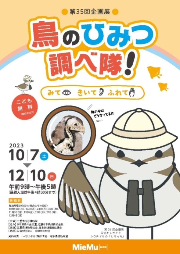 鳥のひみつ調べ隊！ みて・きいて・ふれて」 （三重県総合博物館