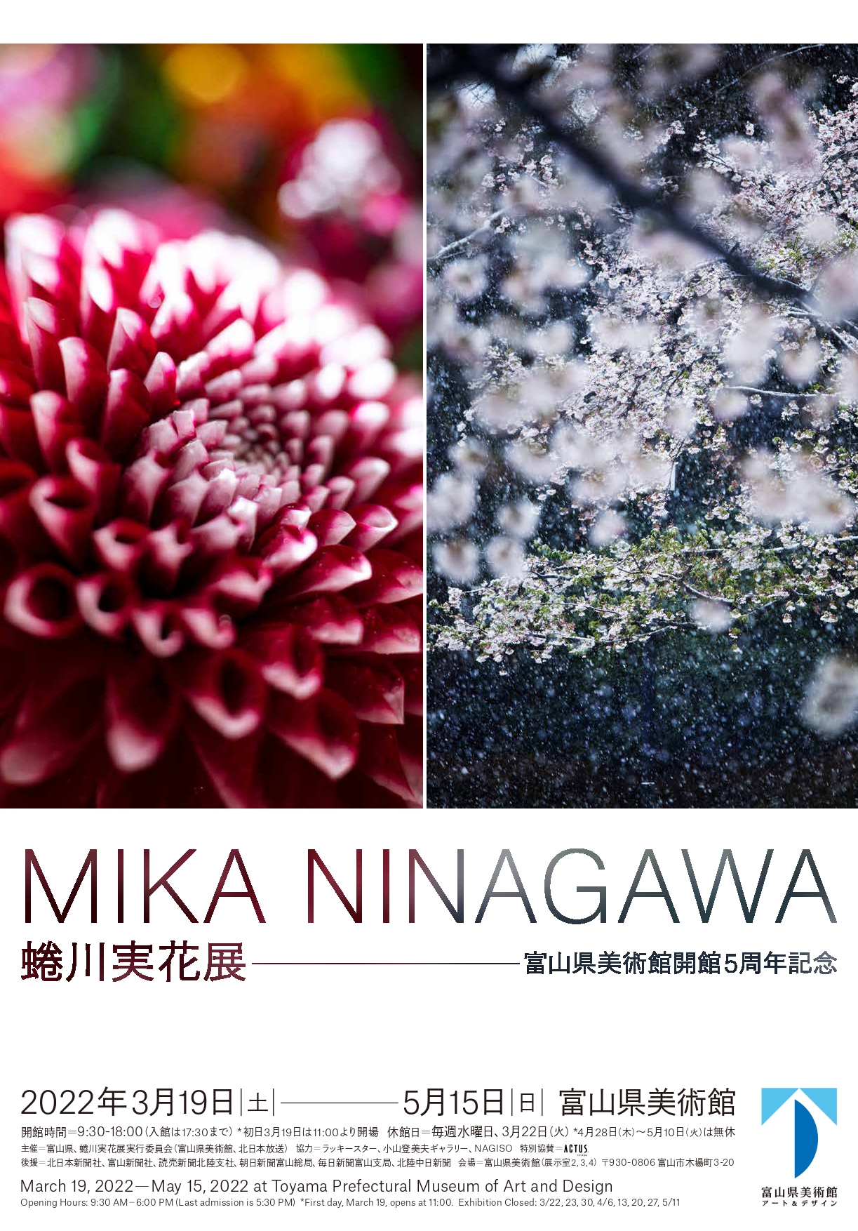 Toyama Prefectural Museum of Art and Design 5th Anniversary