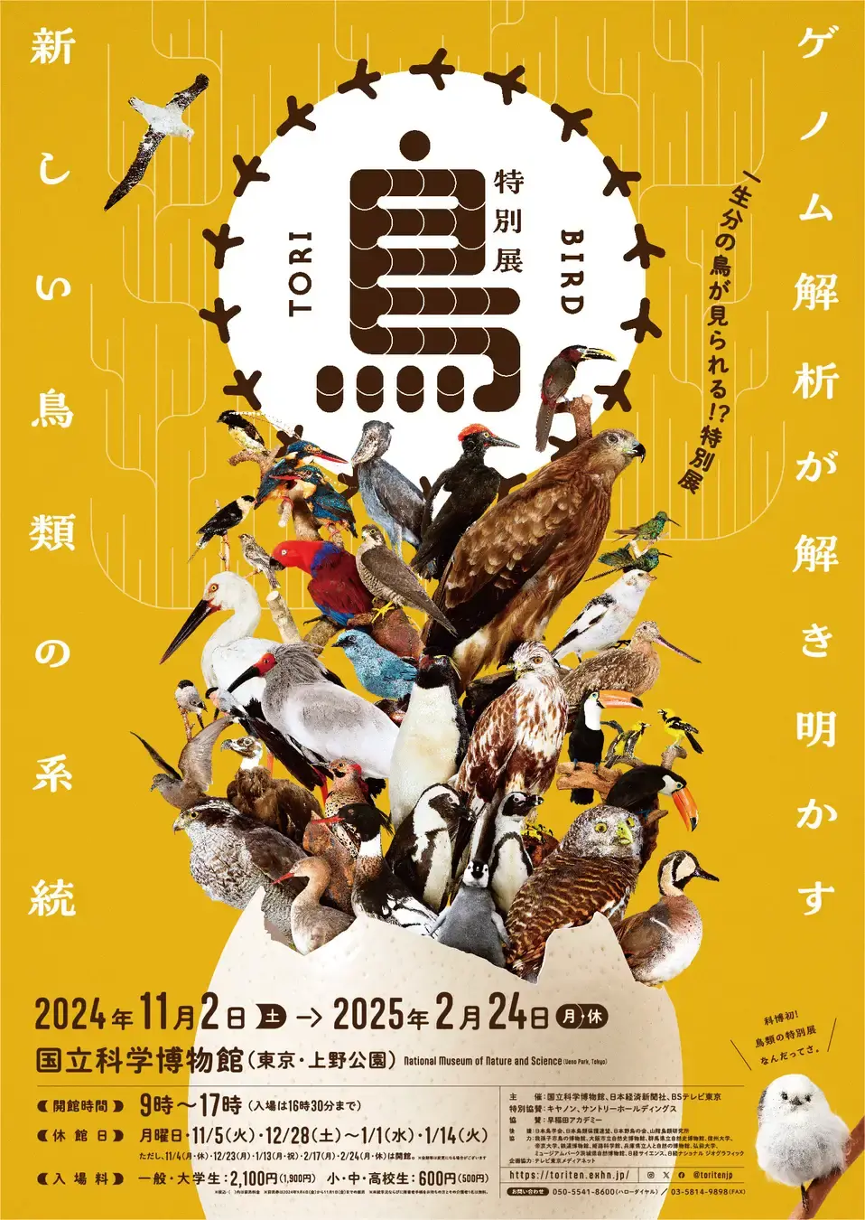 鳥 ～ゲノム解析で解き明かす新しい鳥類の系統～」 （国立科学博物館