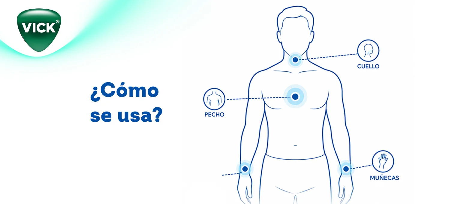 ¿Comó se usa?