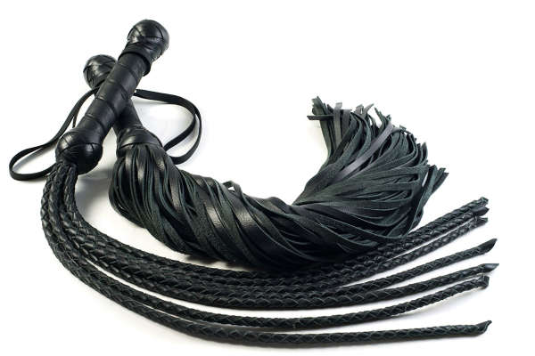 flogger or whip