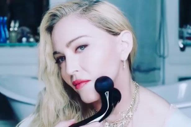 Madonna's New Face Roller Mistaken for Sex Toy
