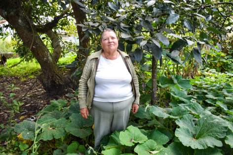 Avocados are more than just a tasty snack — to Rosa, they’re a lifeline
