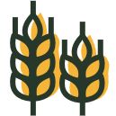 Food icon depicting wheat - Kiva