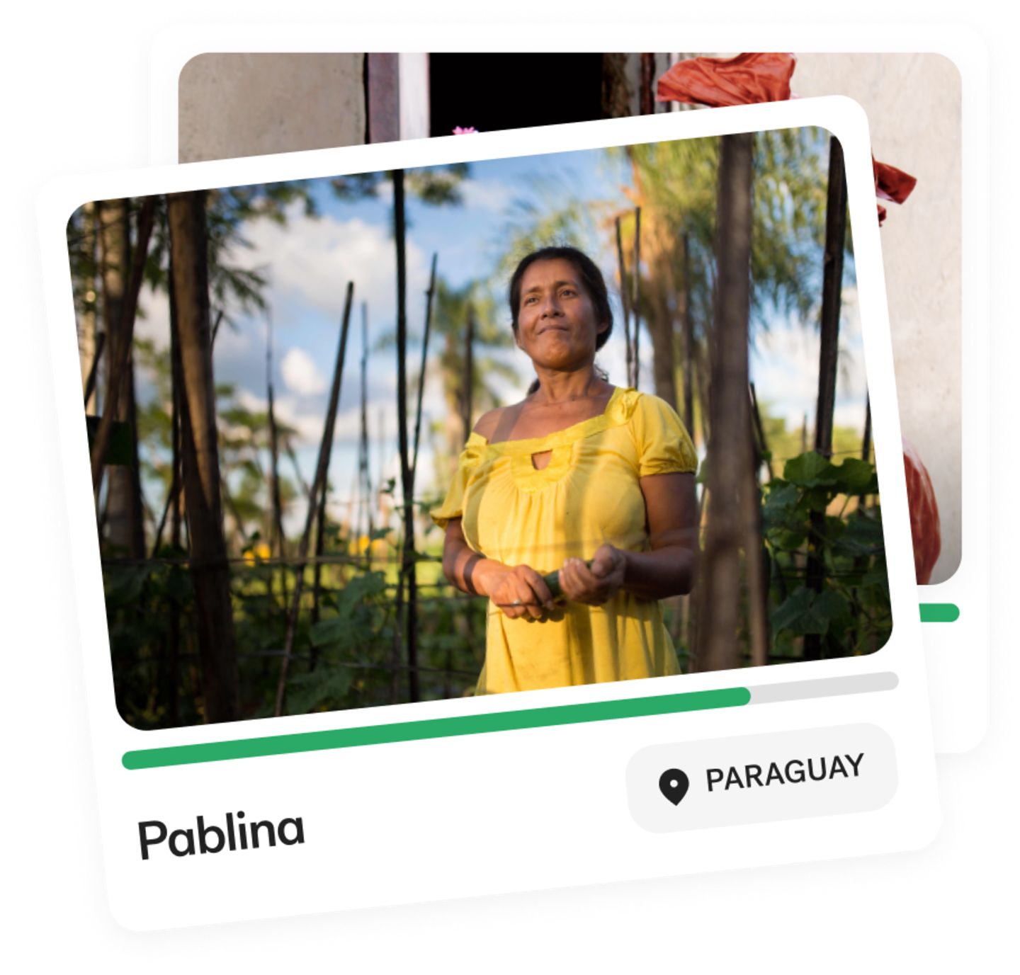 Minimal loan card of Pablina.