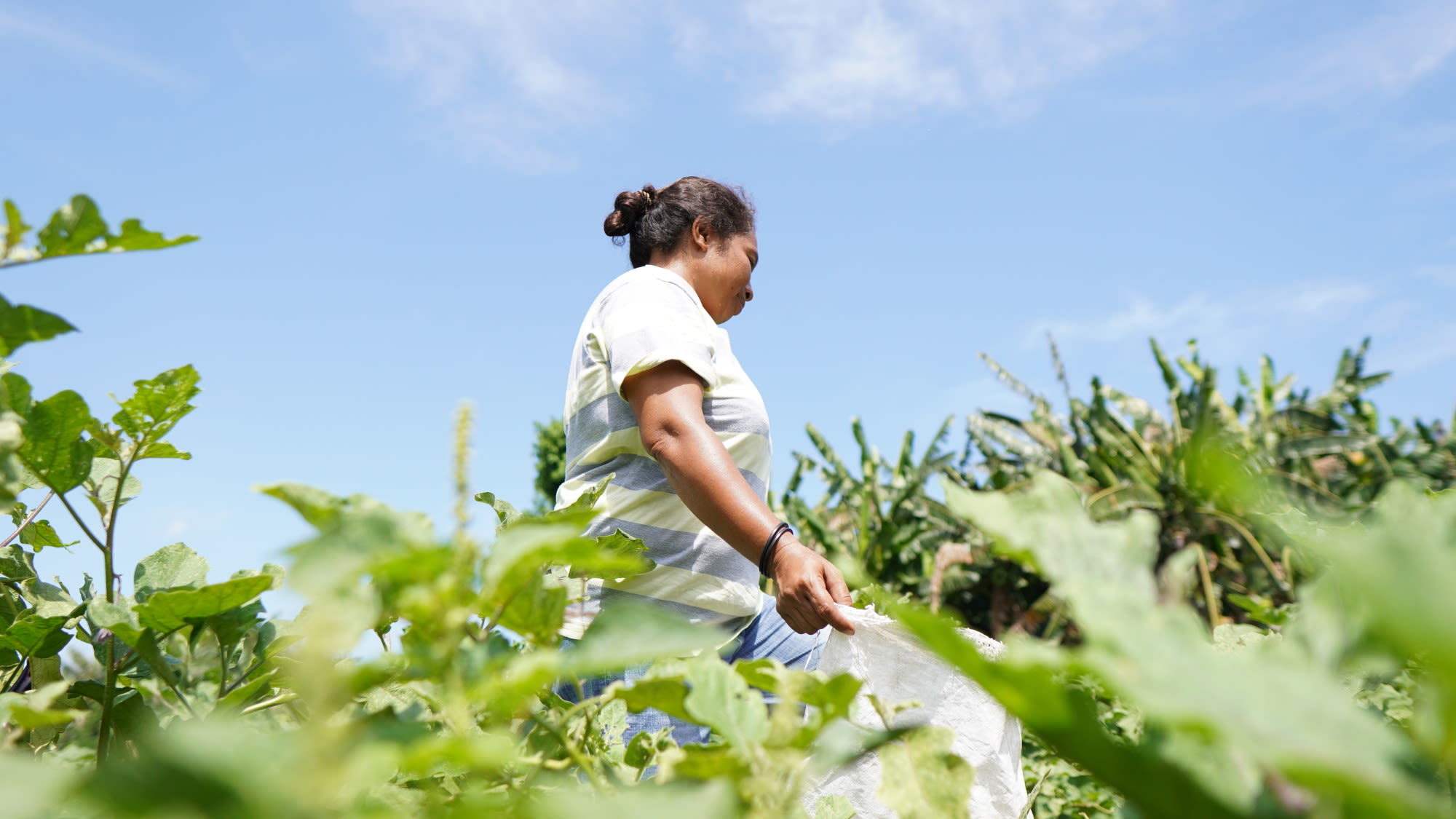 RUNNING HER FARMING BUSINESS HAS MADE ALCINA INDEPENDENT, AS WELL AS HELPING HER PROVIDE A BETTER LIFE FOR HER FAMILY.