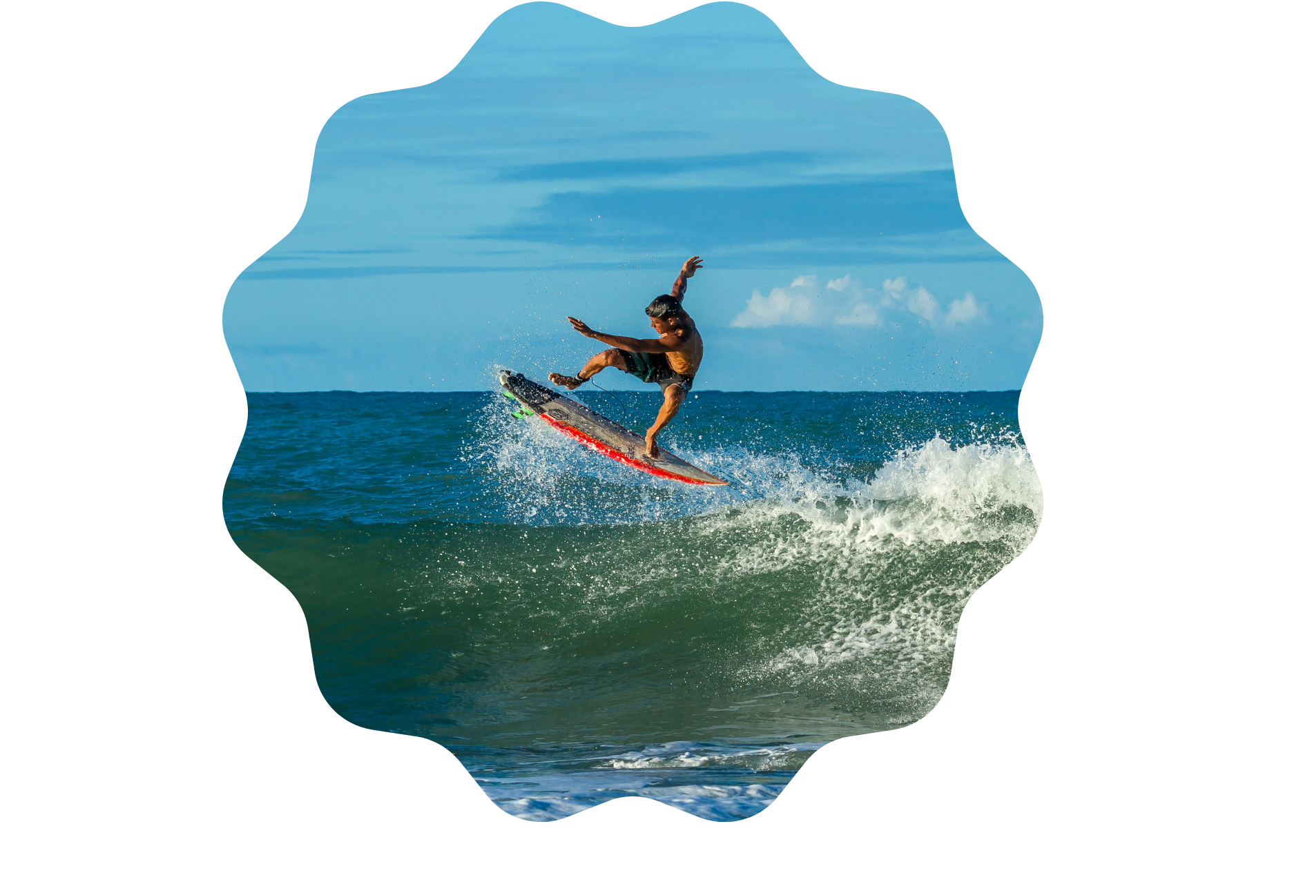 Illustration representing Aloha