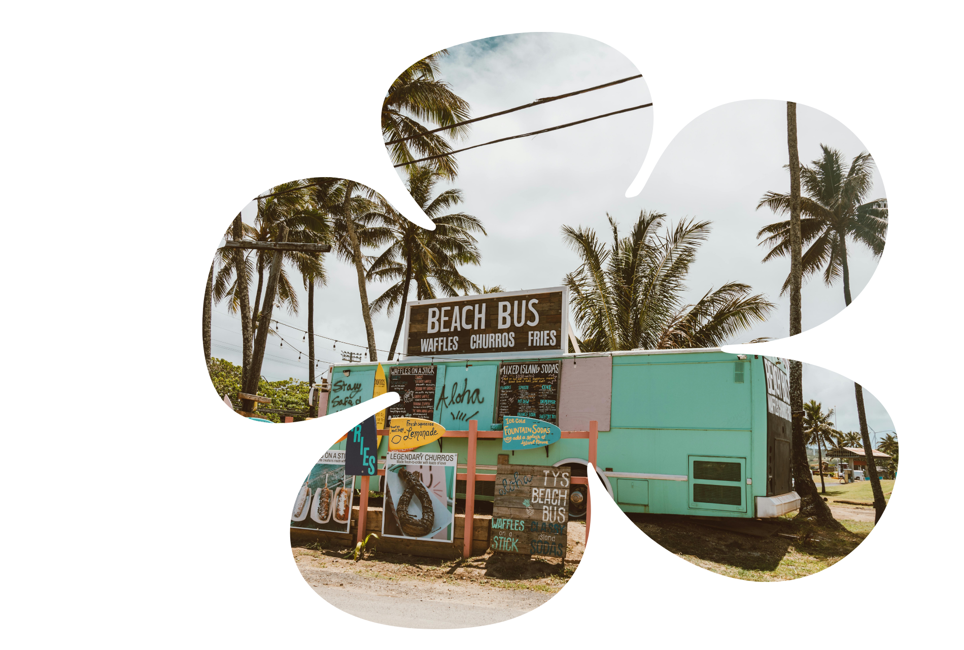 Kaimaʻāina Discount