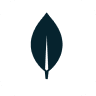 mongodb