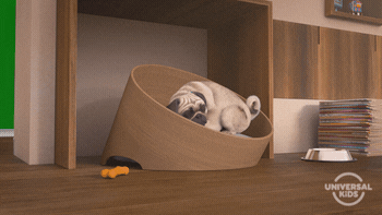 It's Friday dog gif