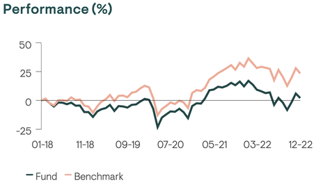 Ninety One fund performance vs benchmark line graph