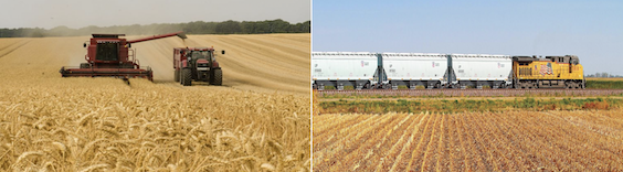 Grain harvesting and transport pictures