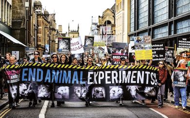 End animal experiments protest photo