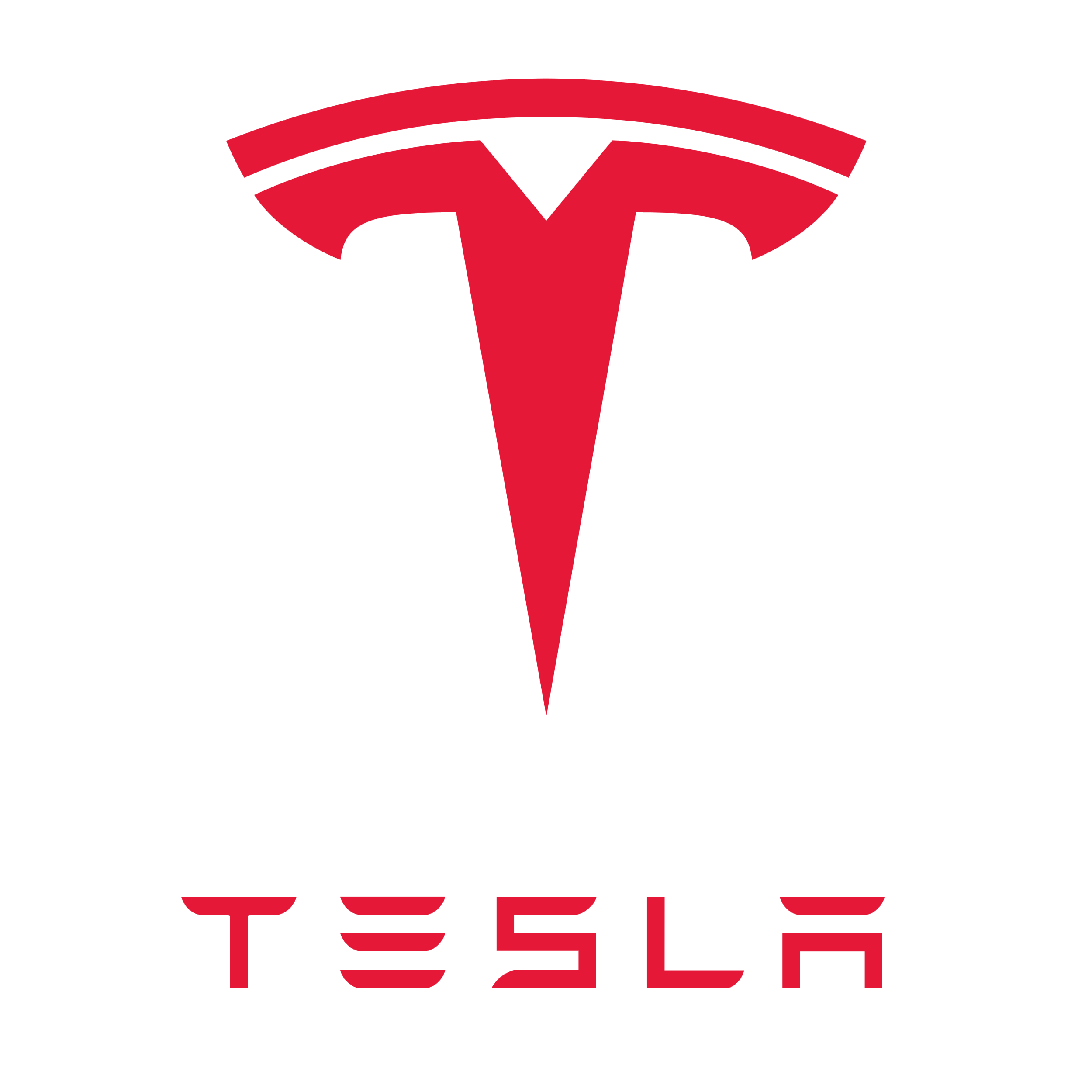 Tesla logo