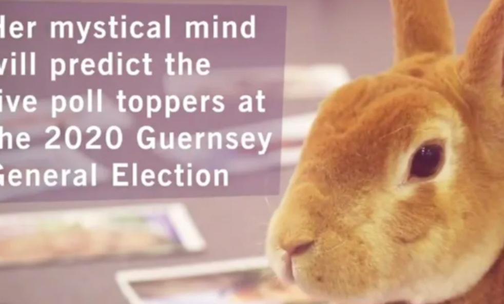 Screen Shot 2020-11-17 at 12.57.47