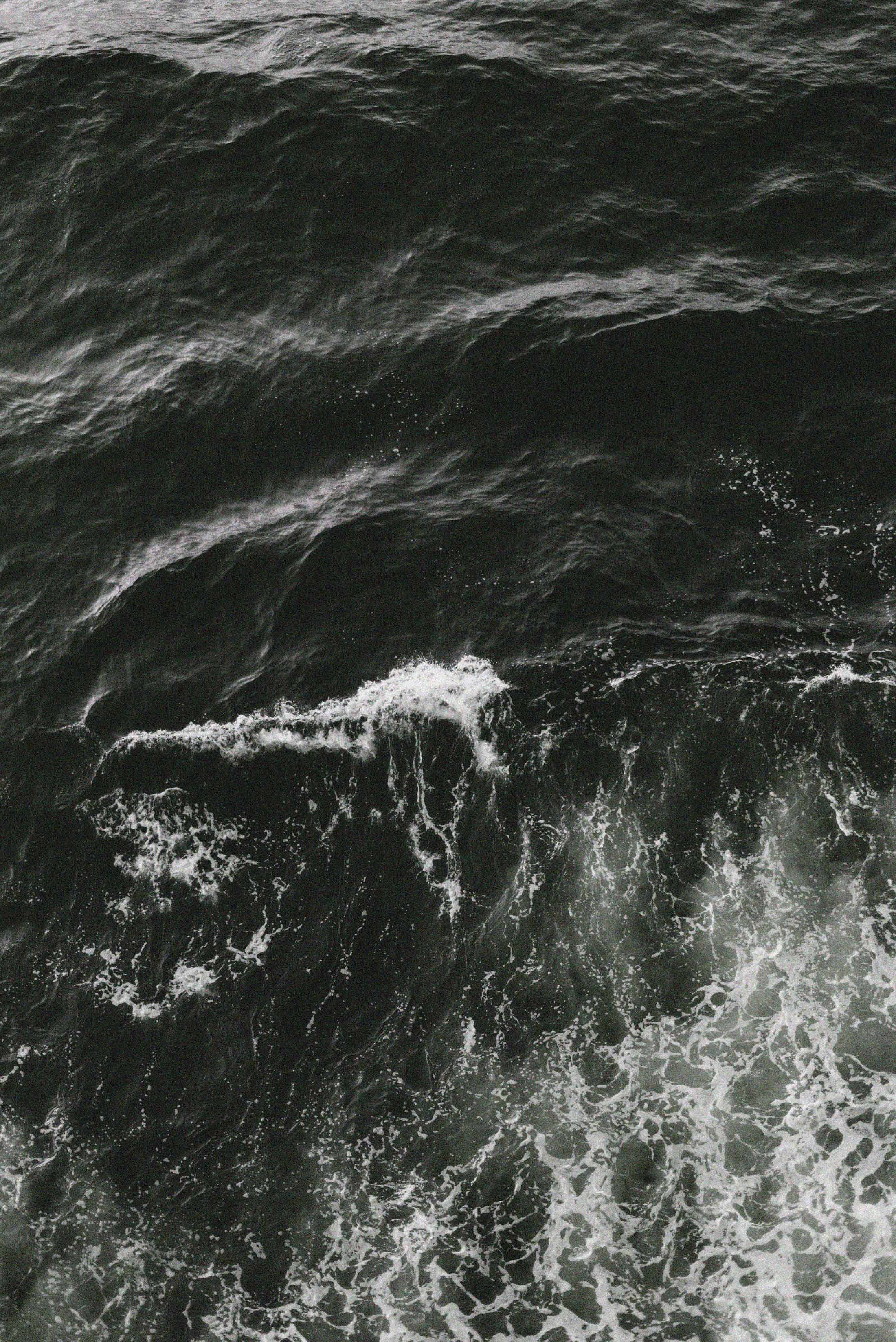 OCEAN MOVEMENT EDIT