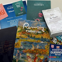 Renoir VG 2