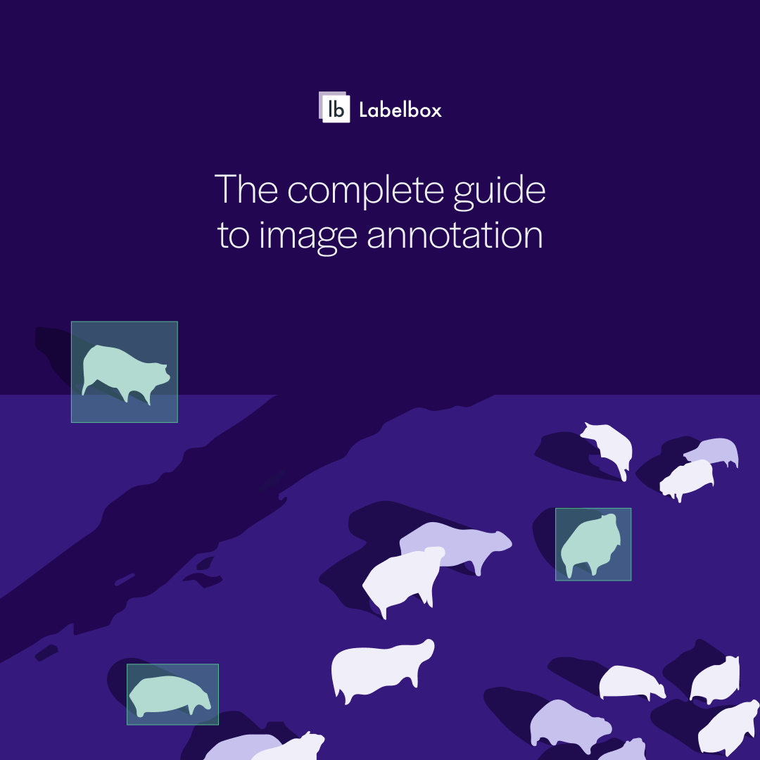 Image Annotation Guide