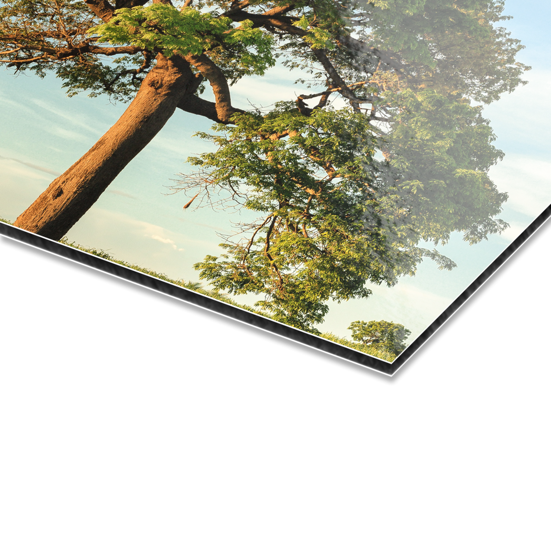 collage_aludibond-40121300-collage