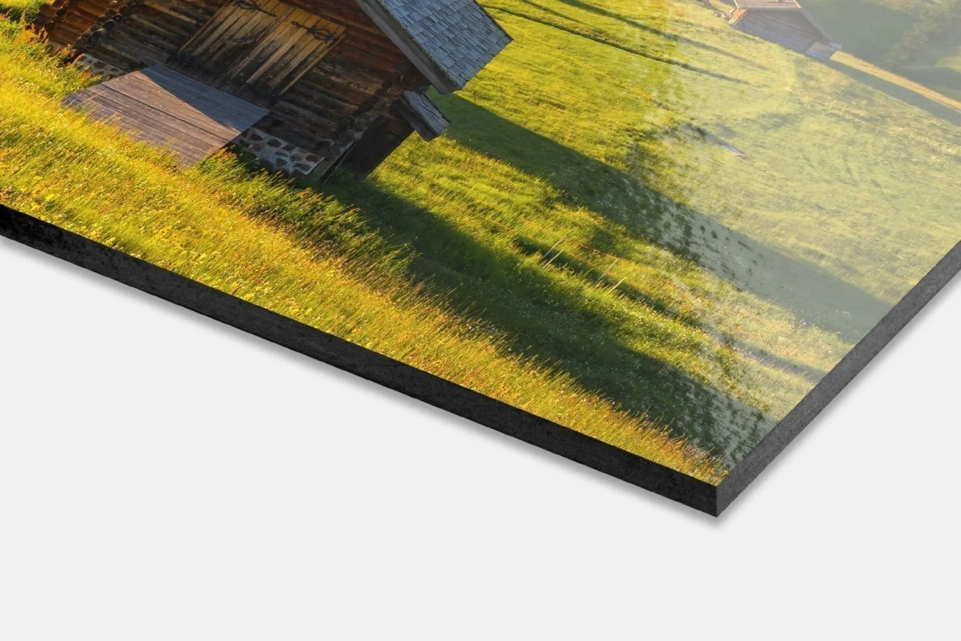 wandbilder_highlight_forex01