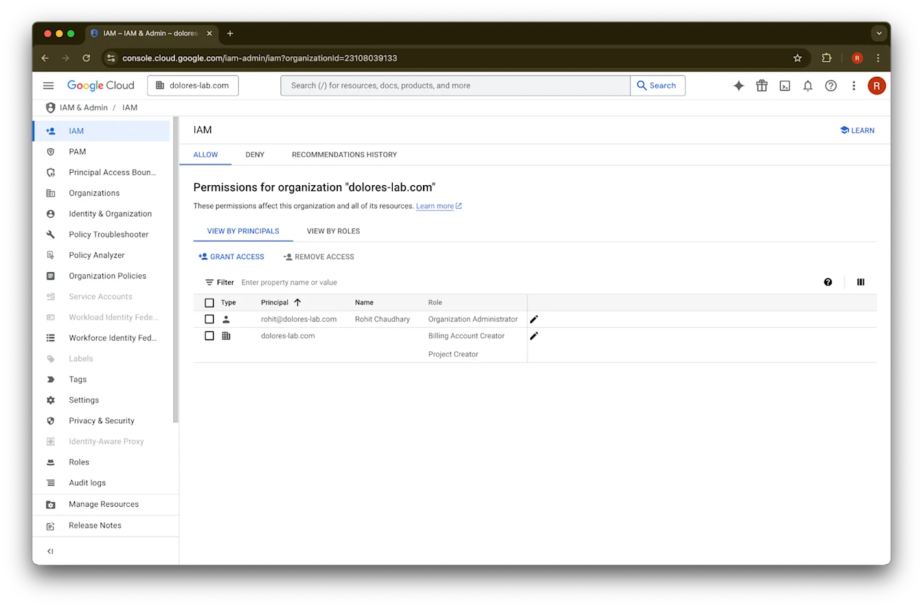 Google Cloud IAM page for dolores-lab.com showing organization permissions and the Grant Access action