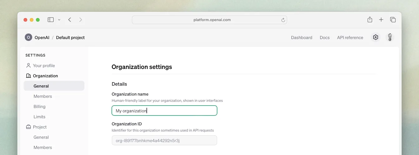 API platform Organization settings with General selected and the Organization name field ready to edit