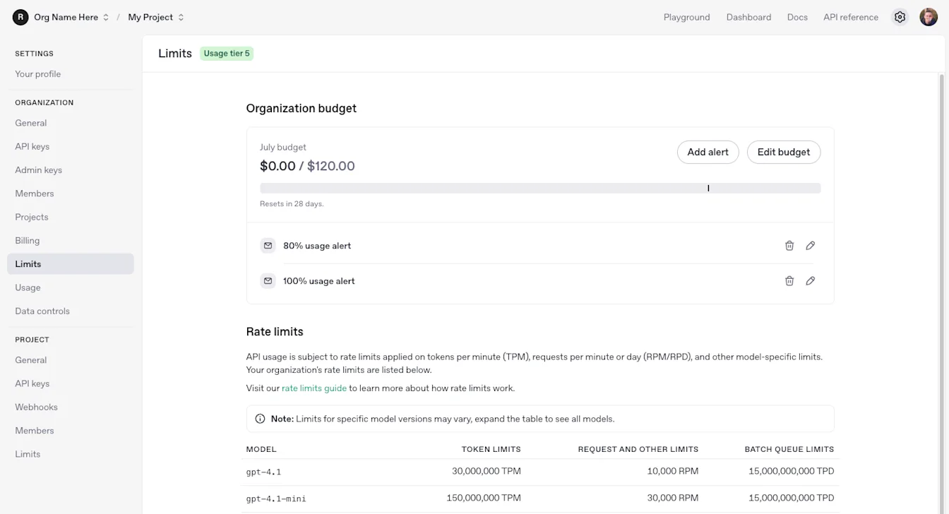 Project Limits page with organization budget controls, usage alerts, and model rate limits table