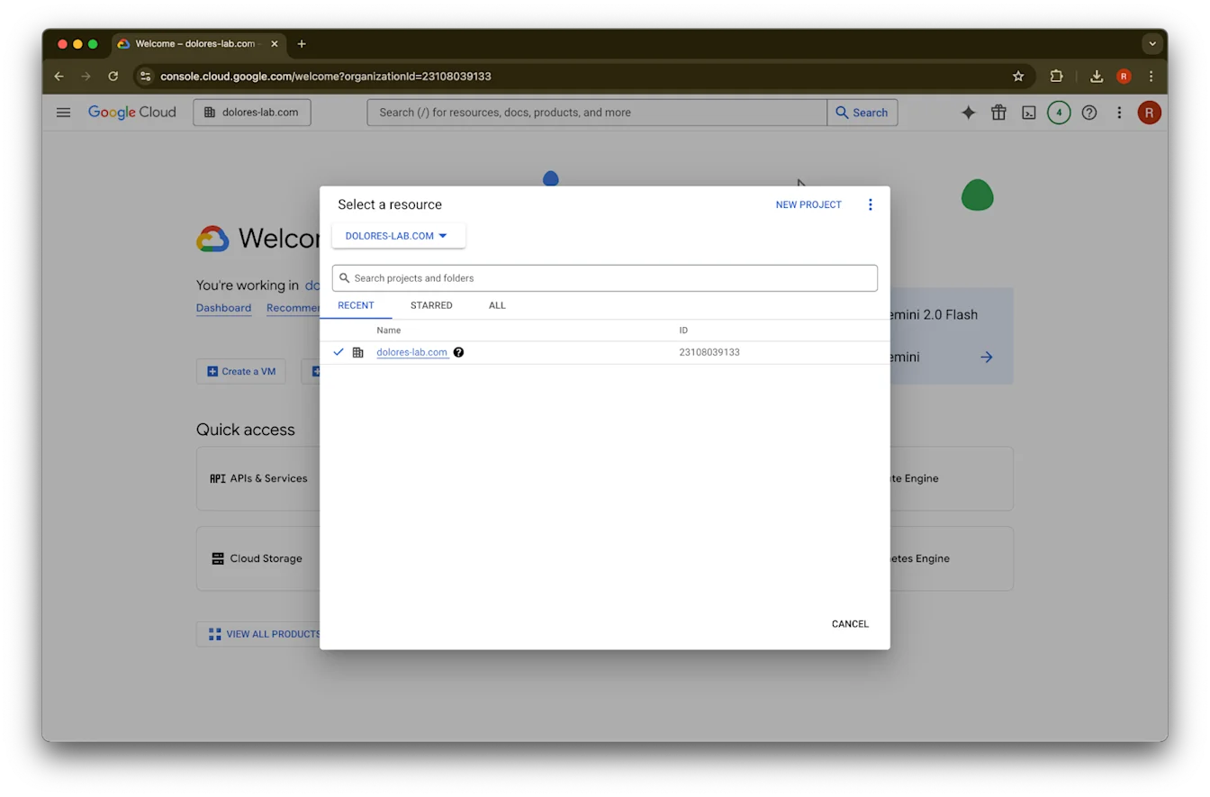 Google Cloud Select a resource dialog with dolores-lab.com organization selected