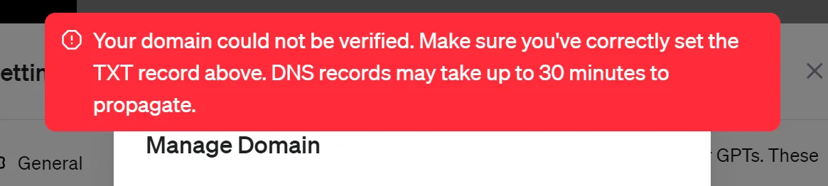 Domain verification error banner stating the domain could not be verified and TXT records may take up to 30 minutes