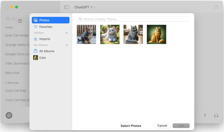 macOS Photos picker open in ChatGPT with the Cats album selected