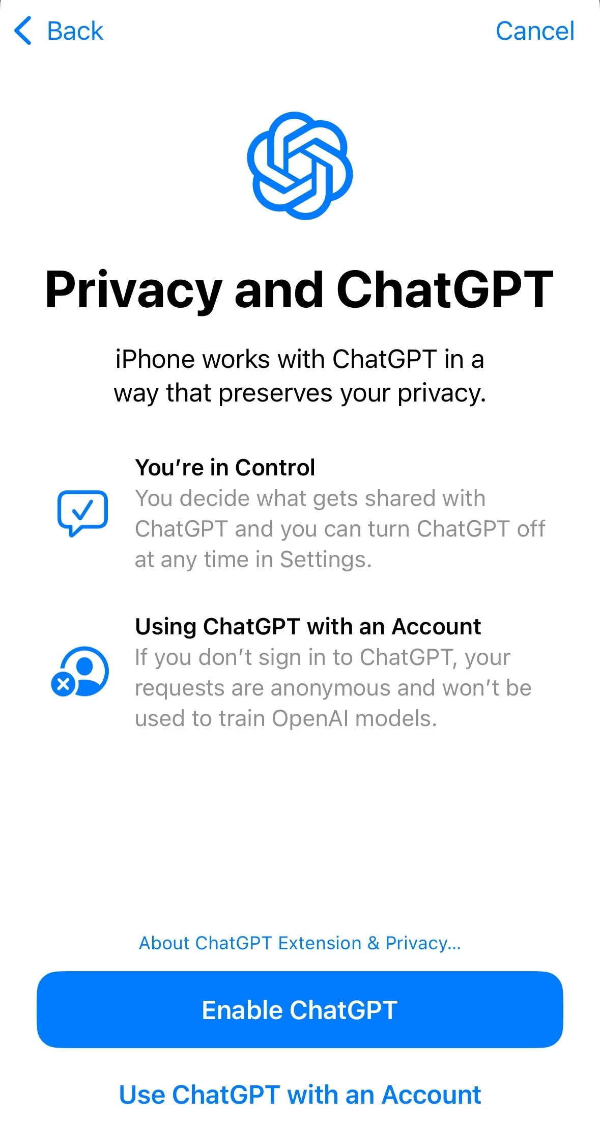 Privacy and ChatGPT setup screen with Enable ChatGPT button