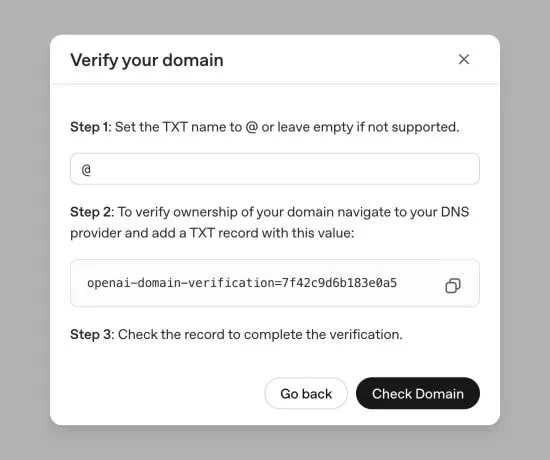 Verify your domain dialog showing the DNS TXT name and verification value, with a Check Domain button.