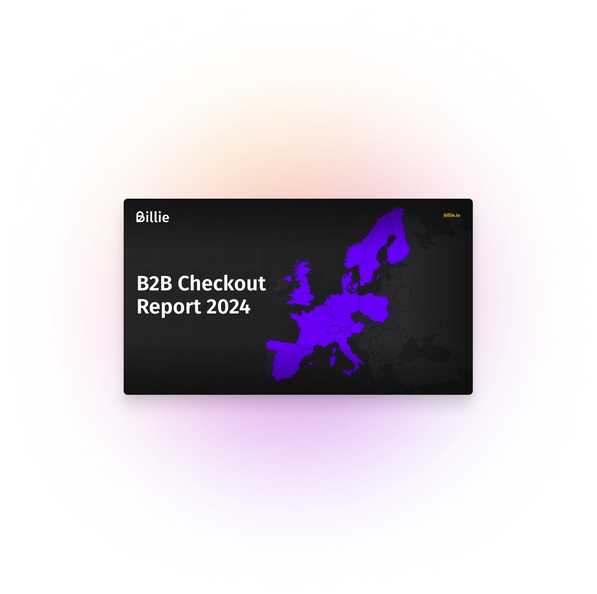 B2B-Checkout-Report-Payments-2024