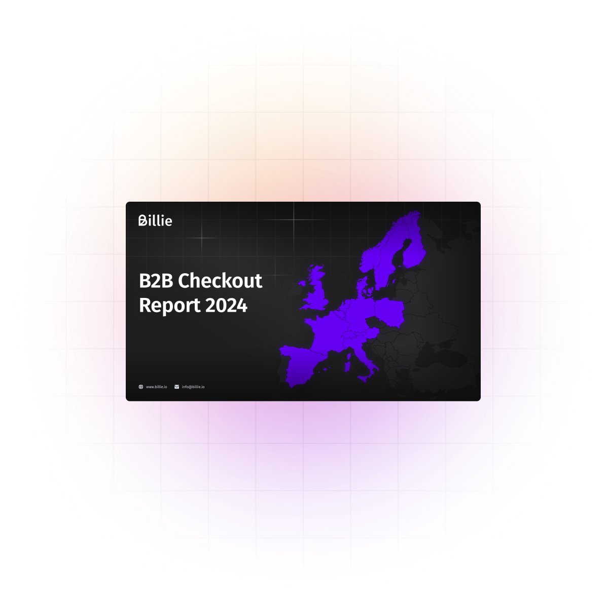 B2B Checkout Report 2024 Cover EN