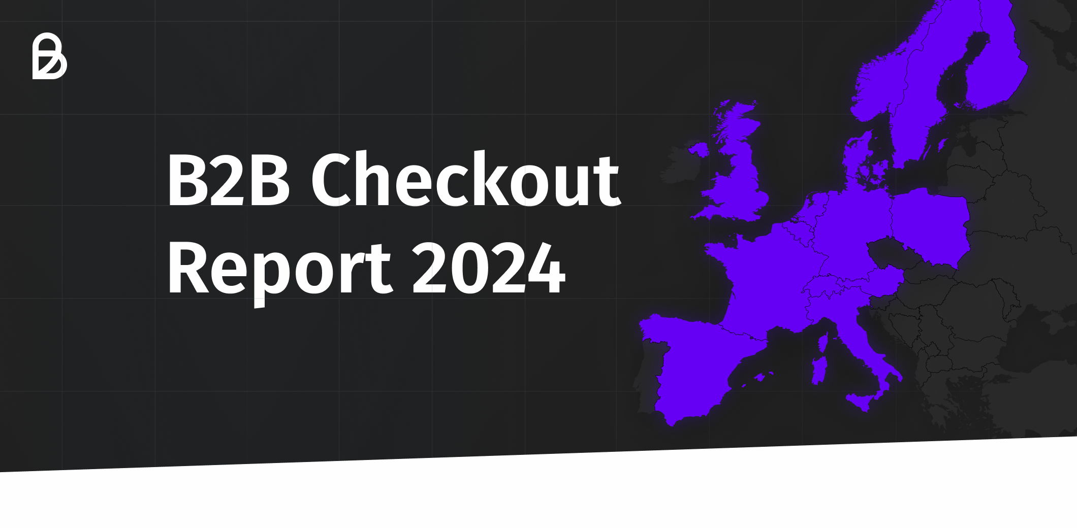 Blog B2B Checkout Report 2024 EN