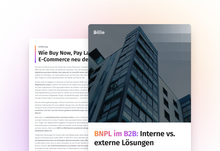 White Paper Inhouse Vs External Snippet EN