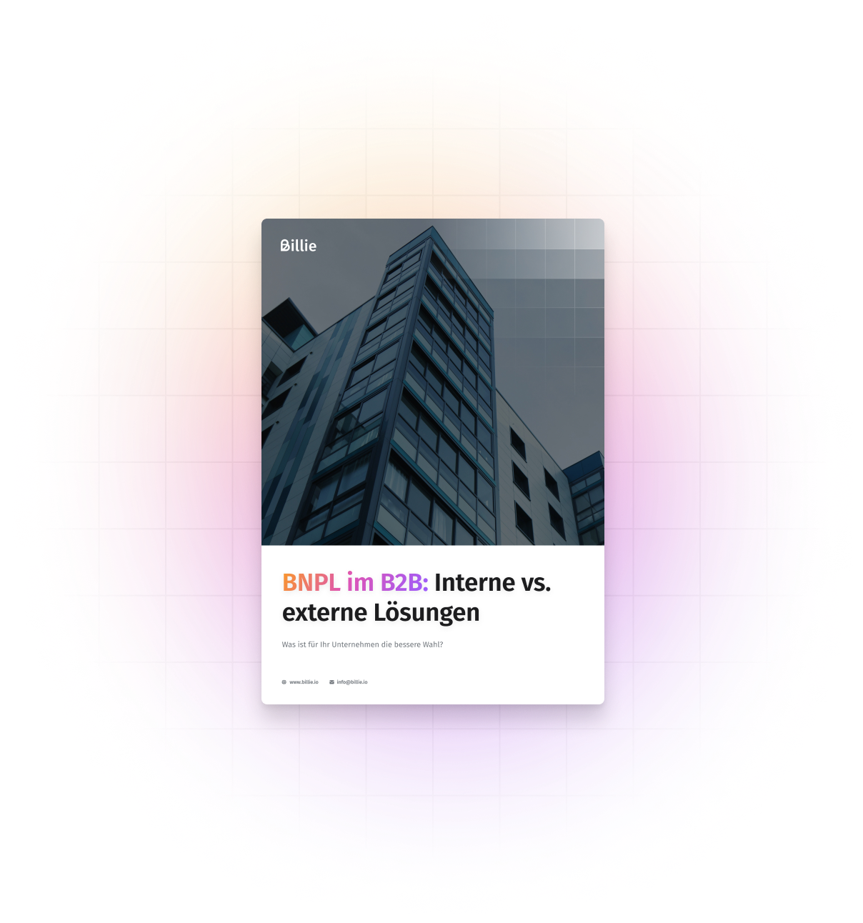 BNPL-Intern-Extern-B2B-Whitepaper