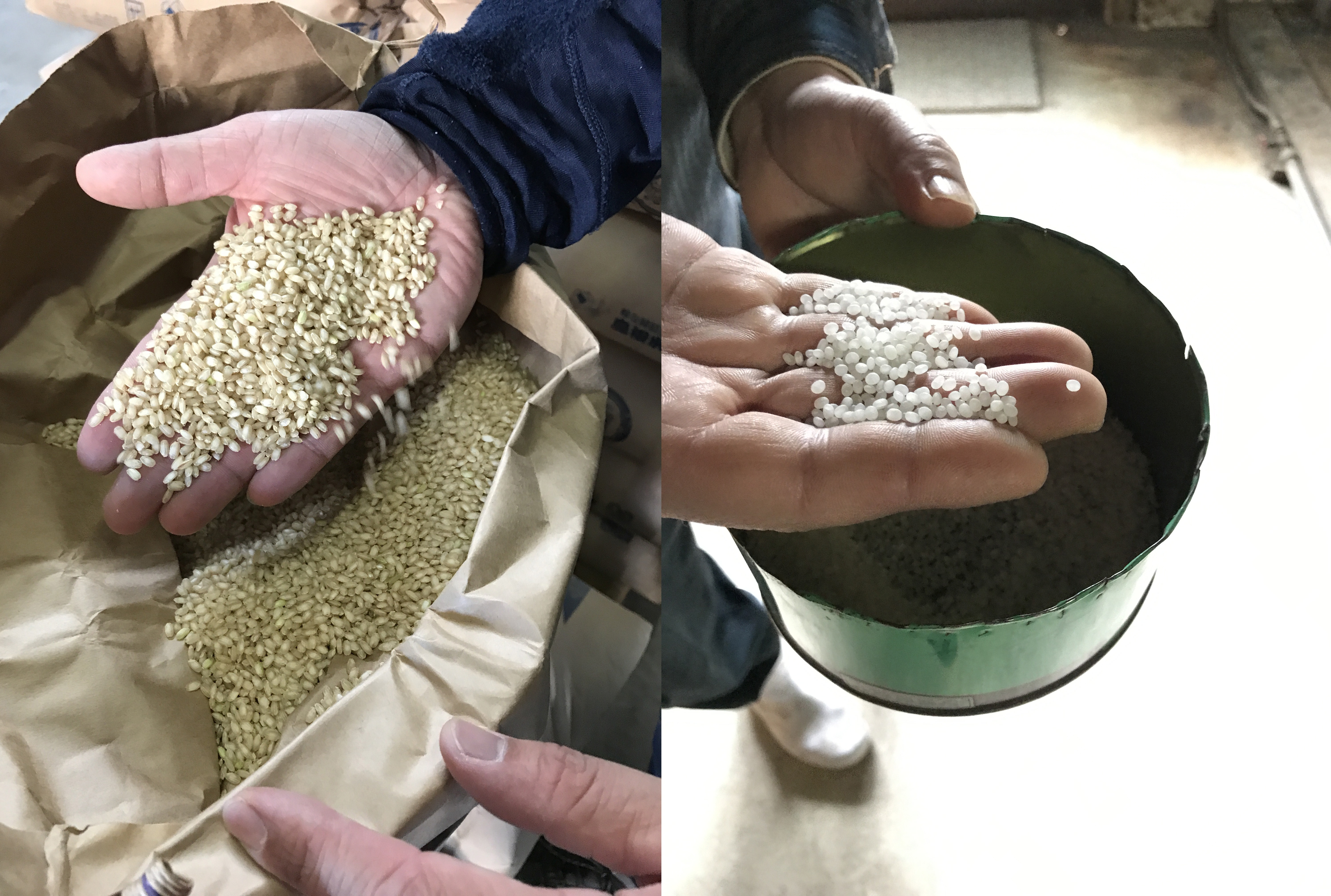 Sake Rice Unpolished vs Polished