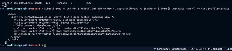 Verify the Updated Config Minikube DE